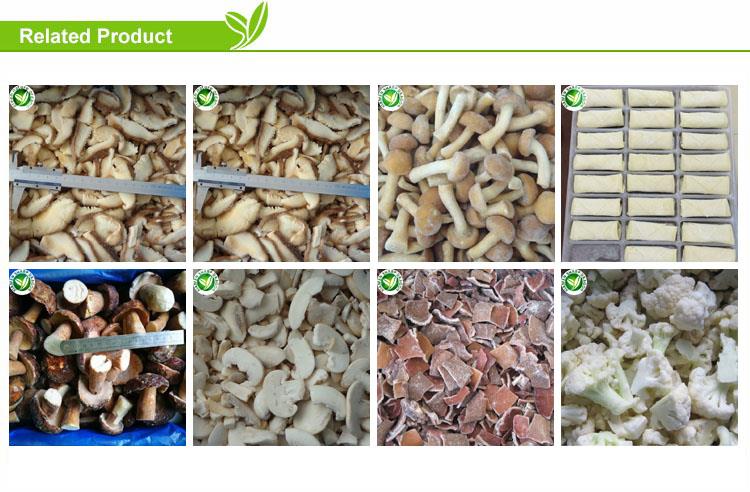 product-1-1 related mushroom