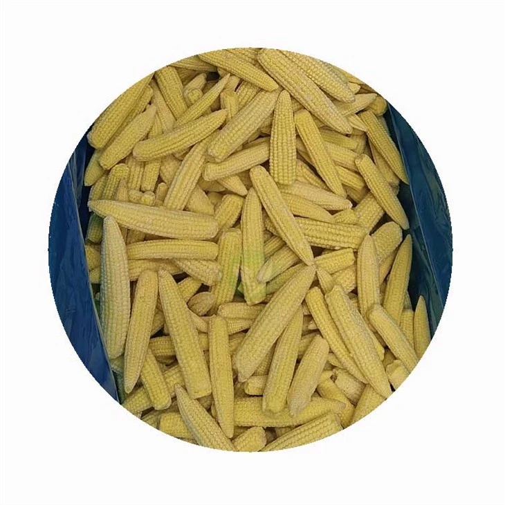IQF হিমায়িত বেবি কর্ন Cobs