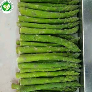 আইকিউএফ সবুজ Asparagus