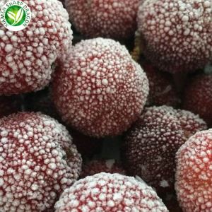 পাইকারি জন্য হিমায়িত Bayberry রপ্তানি করুন
