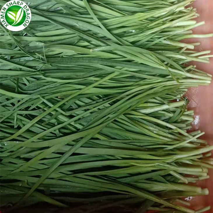 আমার কাছাকাছি হিমায়িত Chives