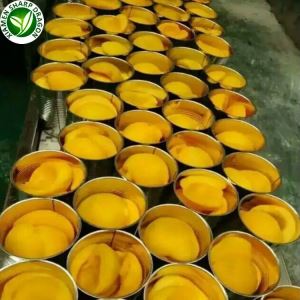 টিনজাত হলুদ পীচ অনলাইনে কিনুন