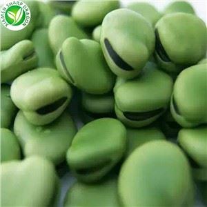হিমায়িত Fava মটরশুটি চীনা সরবরাহকারী
