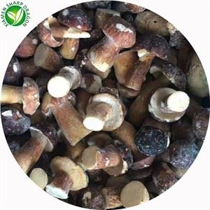 সুস্বাদু পোর্সিনি মাশরুমের দাম