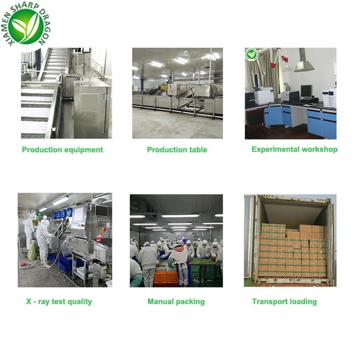 Broccoli Wholesale Price