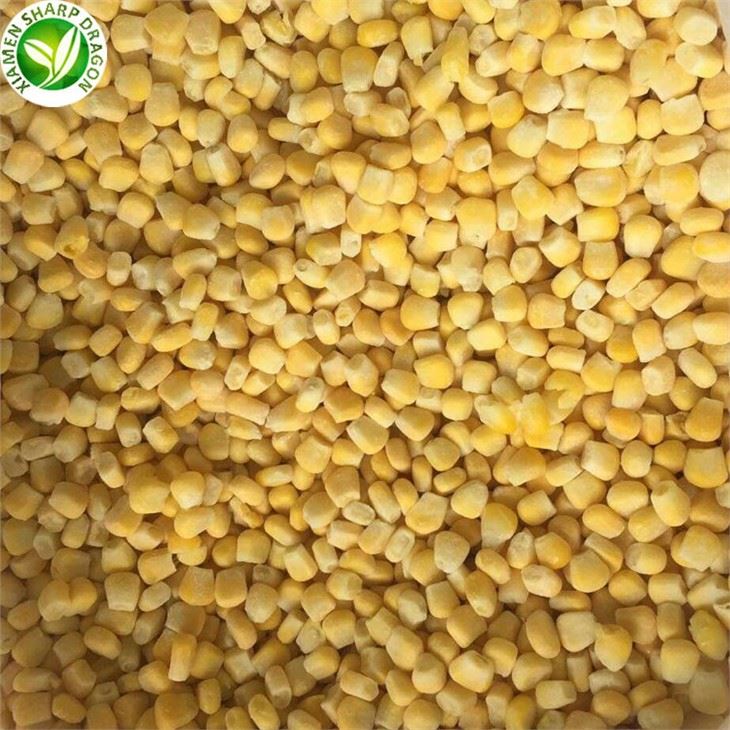 IQF Frozen Baby Corn Cobs